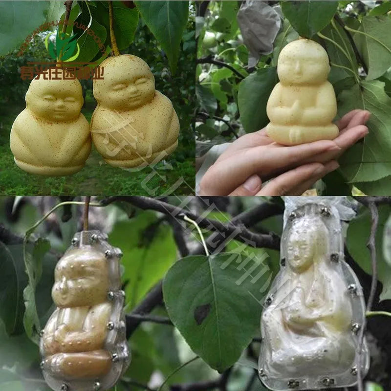 Japanese Fruit Garden Heart Shaped Moldes 