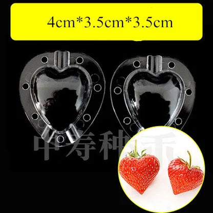 Japanese Fruit Garden Heart Shaped Moldes 